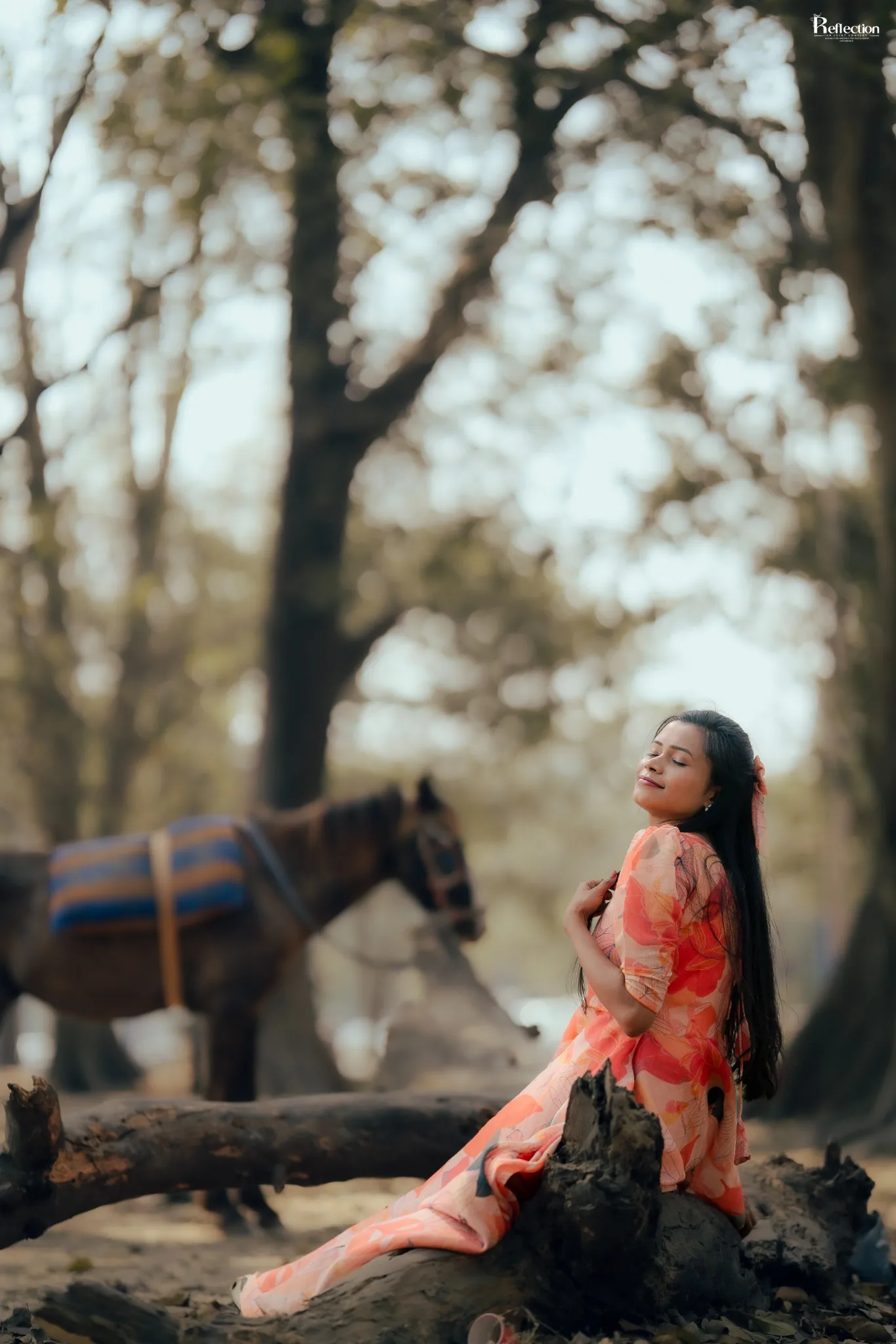 Portrait of a woman beside a horse in a forest setting